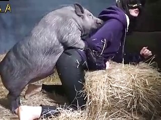 Try Not To Cum! Boar Porn