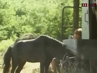 Stallion Called Storm. They Both Lived Their Ponygirl