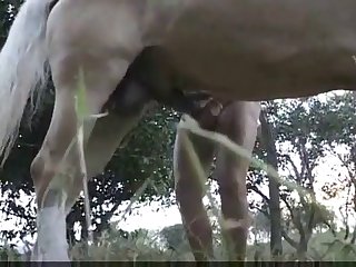 The Sheer Beauty Of The Unicorn. He Tossed His Head At