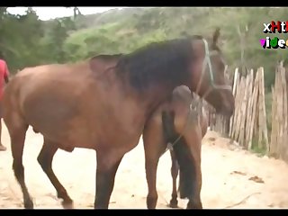 Huge Stallion Vs Hot Mare Sc 05