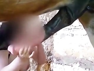 Sucking The Horse