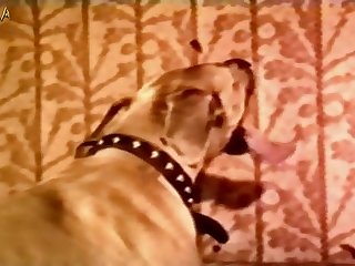 Il Était Attentionné Obéissant Et Pouvait Lui Procurer Des Orgasmes Bouleversants