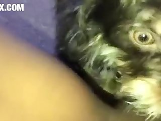 Maman Contrôla Le Rythme De Leur Accouplement Cette Fois