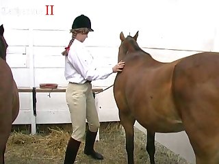 I Dressed And Waited For The Cats To Wake Up Mentally I Was A Wreck