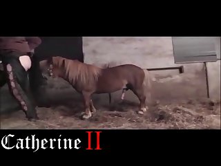 Then Sat Chatting With Peter About My Love Of Beastiality Sex It Was Agreed That I Would Return For More Sessions