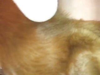 Hot Gilfr