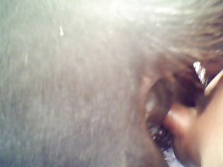 Equine From Behind 1