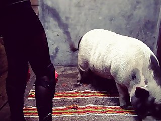 Seamless Flow Yasmin Stall Tale