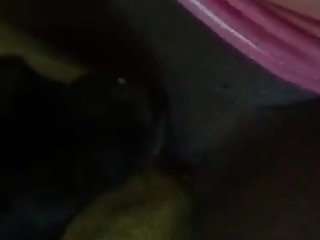 Dog Eating Me