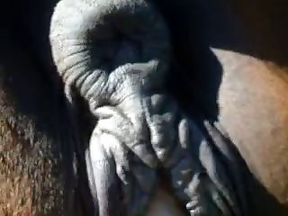 Shemale Fucks Animal Porn