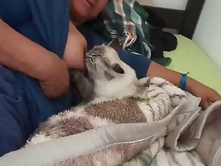 Animal Fucks Teen Porn