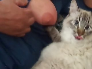 Animal Fucks Teen Porn