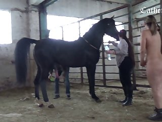 Zoofilia Xxx Oveja