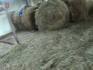 Xxx Zoofilia Con Cerdo