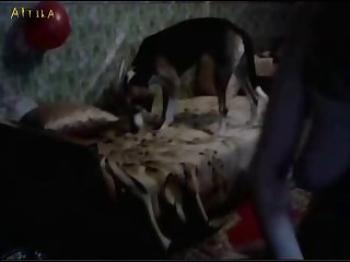 Extreme Orgasm Porn