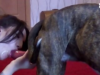 Bdsm Fuck Dog