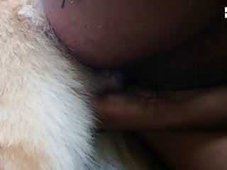 Fuck Off I Bite Dog Collar