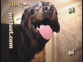 Dog Hot Hot Sexy Bhabi Ki Chudai Bathroom Me Dog Sawer Sex0