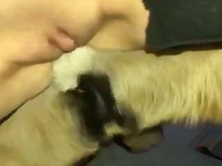 Dog Fuck Ass Hole