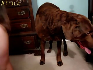 Dog And Guy Fuck