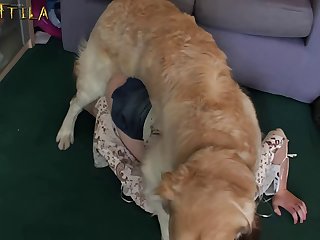 Boy Fuck A Female Dog