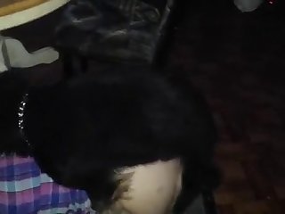 Horse Dog Fuck