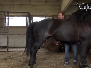 3d L0lzooi Porn