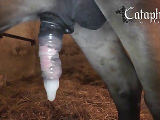 Zoo Red Tube