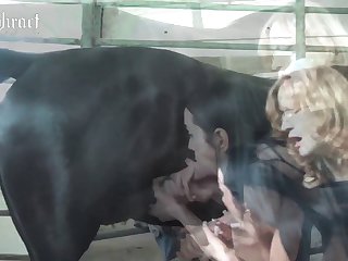 Girl And Dog Sex Stories