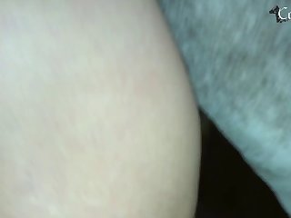 Big Dick Animals