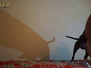 Women Having Sex With Animal Videos