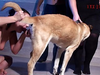Animal Sex Vids