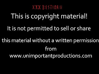 Having Sex With An Animal