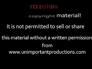 Having Sex With An Animal