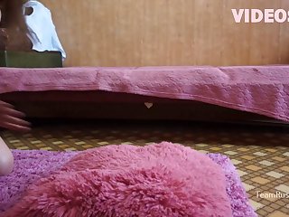 Animal Sex Fun