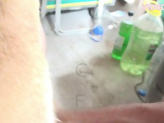 What Animal Can Change Sex From Male To Female