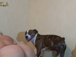 Woman Having Sex With Animal