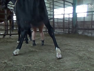 Animal Sex 2024
