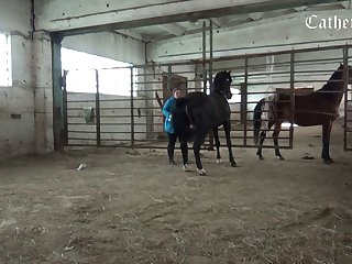 New Animal Sex Videos