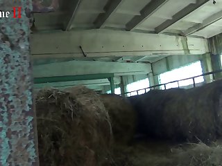 Women Sex With Animal Porn