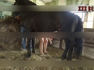 Man Sex Animal Porn