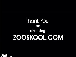 Can You Have Sex With An Animal