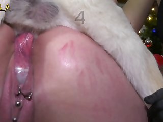 Dog Fucking Girl Cartoon Porn