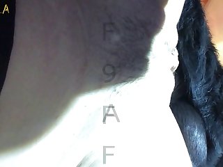 Animation Animal Sex