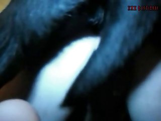 White Girl With Dog Porn