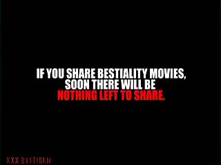 Horse Compilation Porn