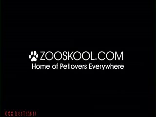 Horse Compilation Porn