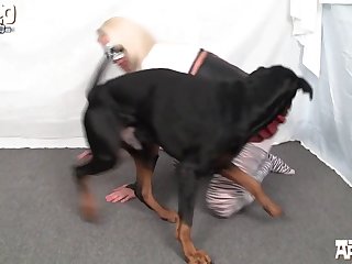 Horse Cums Inside Girl Porn
