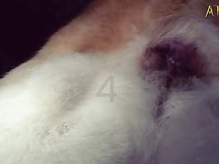 Teen Lets Dog Fuck Her Porn