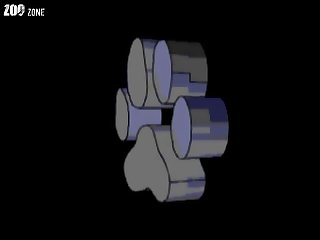 Gay Zoo Porn Telegram